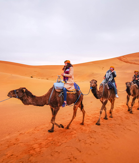 Africa Excursion Morocco Tours