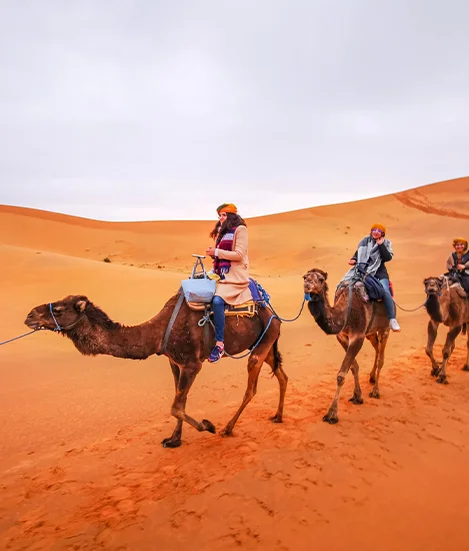 Africa Excursion Morocco