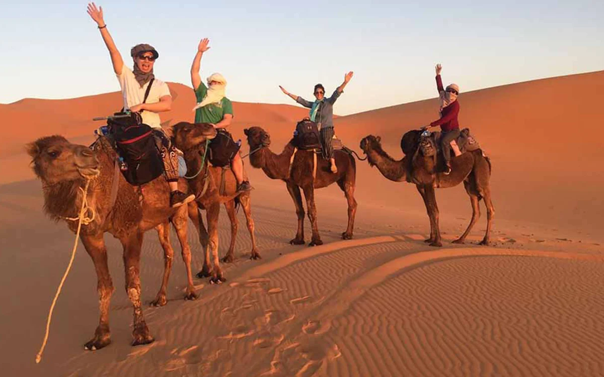 Camel Trekking Merzouga