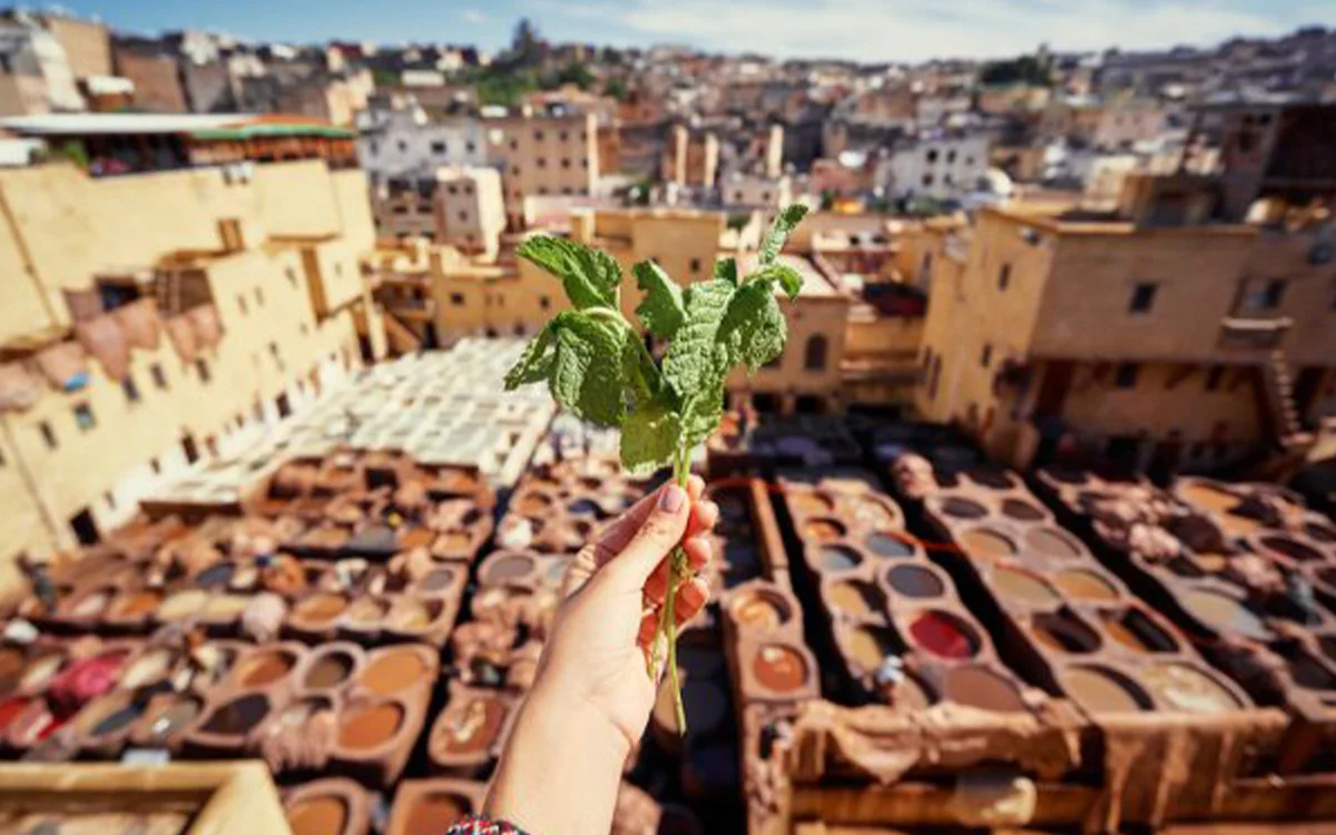 12 Days Casablanca Tour