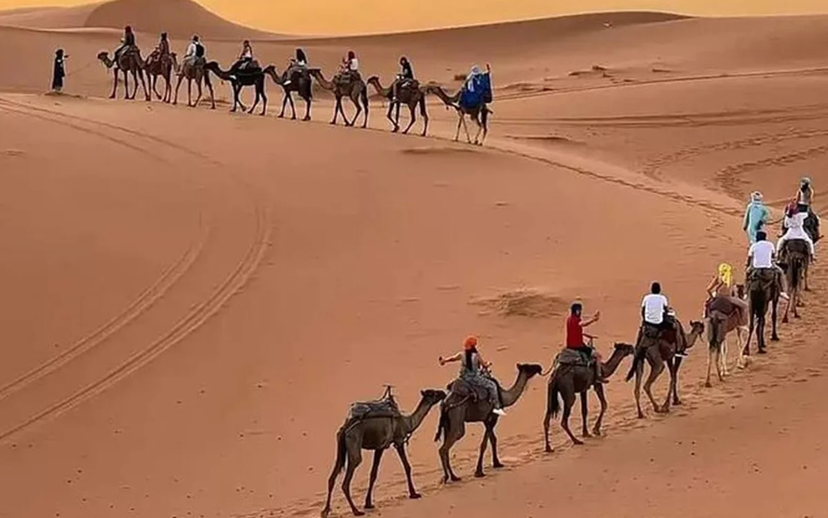 Desert Tour