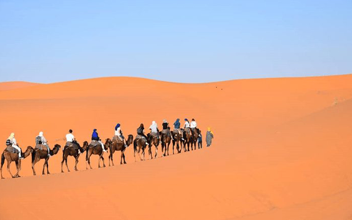 7 days In Morocco from Casablanca