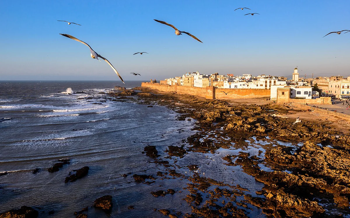 Day Trip Marrakech Essaouira
