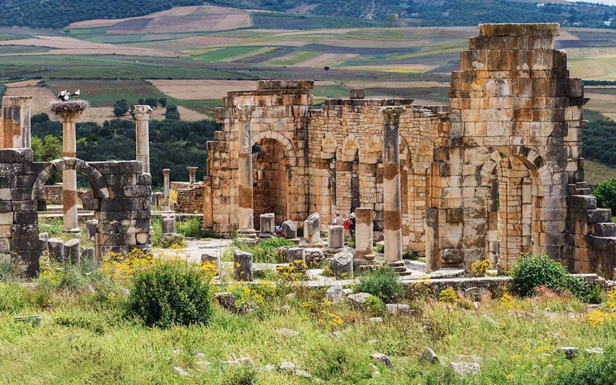Day Trip Meknes Volubilis